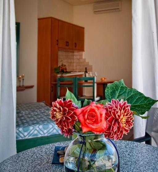 스탠다드 스튜디오, Papadakis