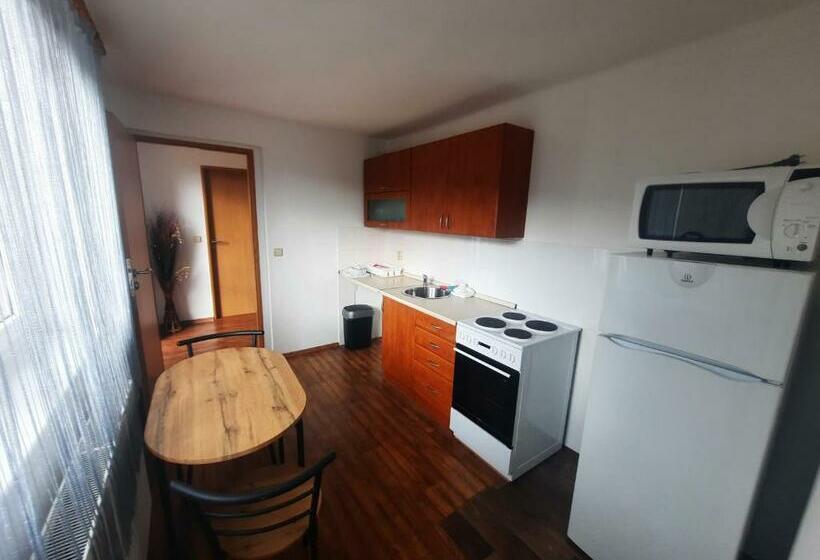 스탠다드 룸, Restaurace A Penzion Na Stráni