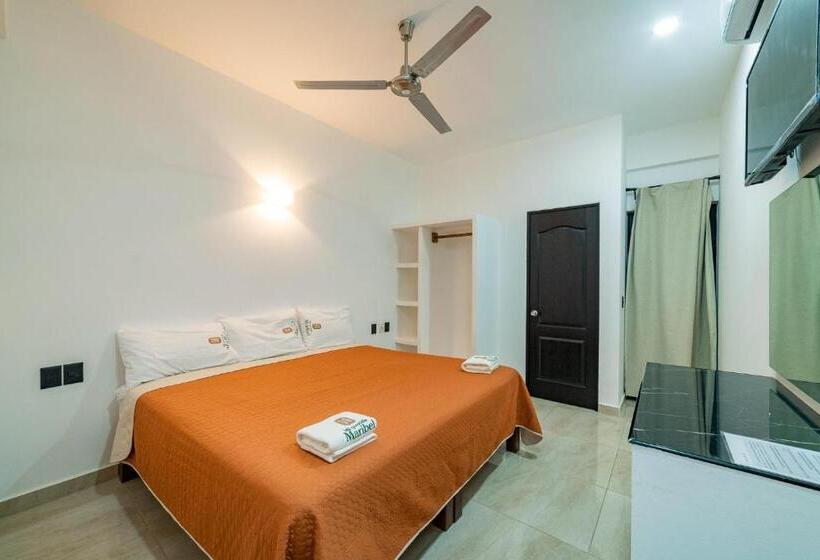 غرفة قياسية, Mi Querida Maribel