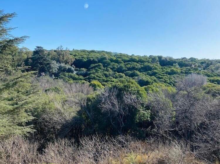 חדר סטנדרט, Carod Espacio Serrano