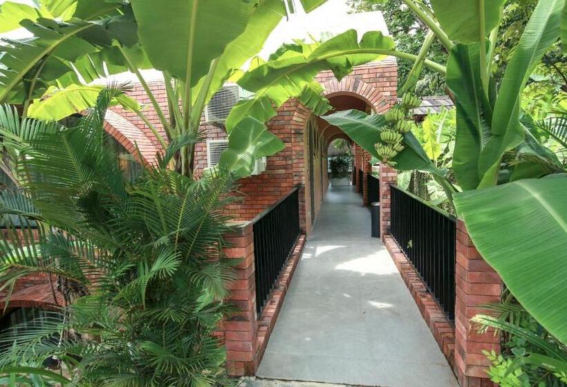 اتاق لوکس با بالکن, Maida Lodge