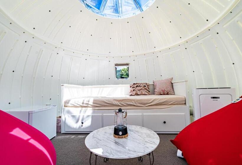 חדר סטנדרט, Futureresort