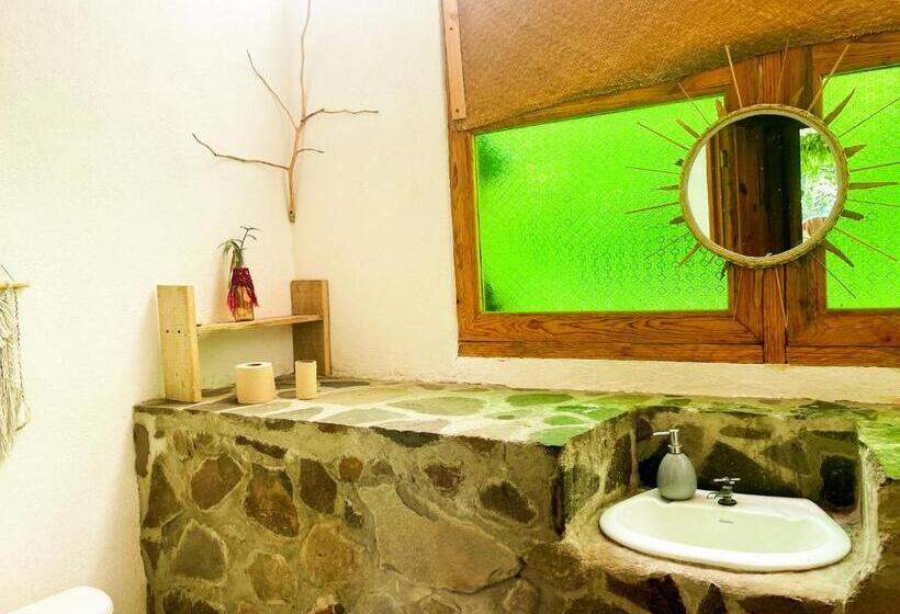 اتاق خانوادگی با سرویس بهداشتی مشترک, Granja Tzikin