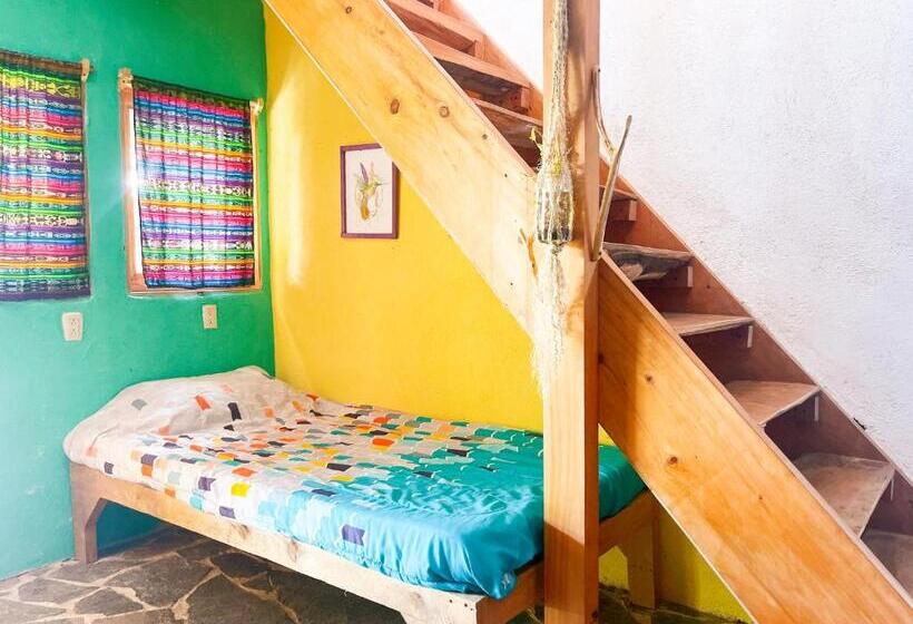 اتاق خانوادگی با سرویس بهداشتی مشترک, Granja Tzikin