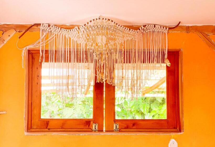 اتاق خانوادگی با سرویس بهداشتی مشترک, Granja Tzikin