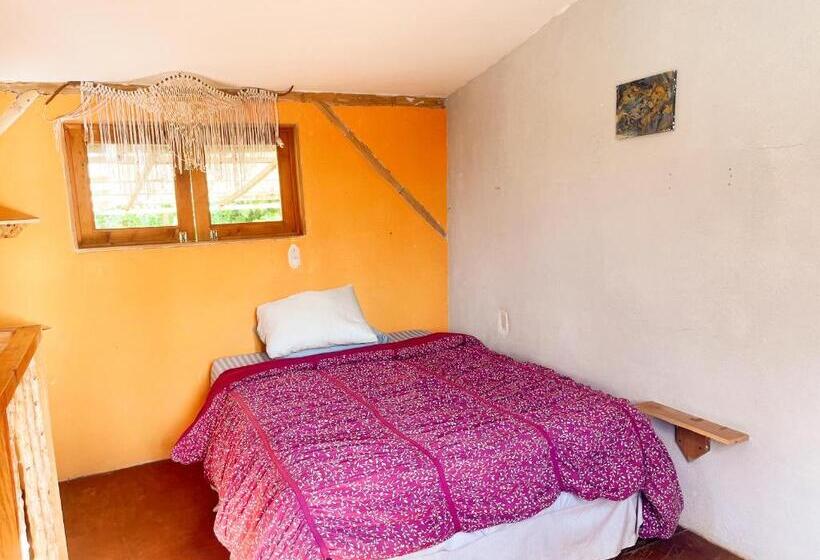 اتاق خانوادگی با سرویس بهداشتی مشترک, Granja Tzikin