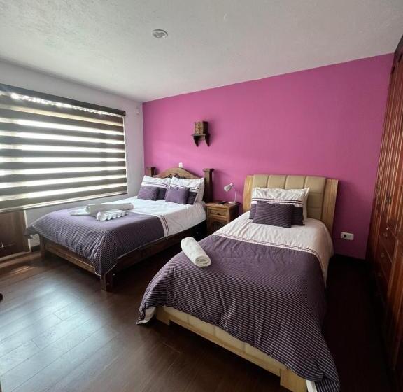 غرفة قياسية, La Casa De Las Flores Spa