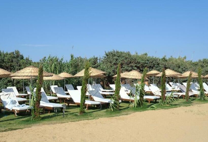 ‫فيلا غرفة نوم واحدة, Zaya çeşme Hotel & Beach