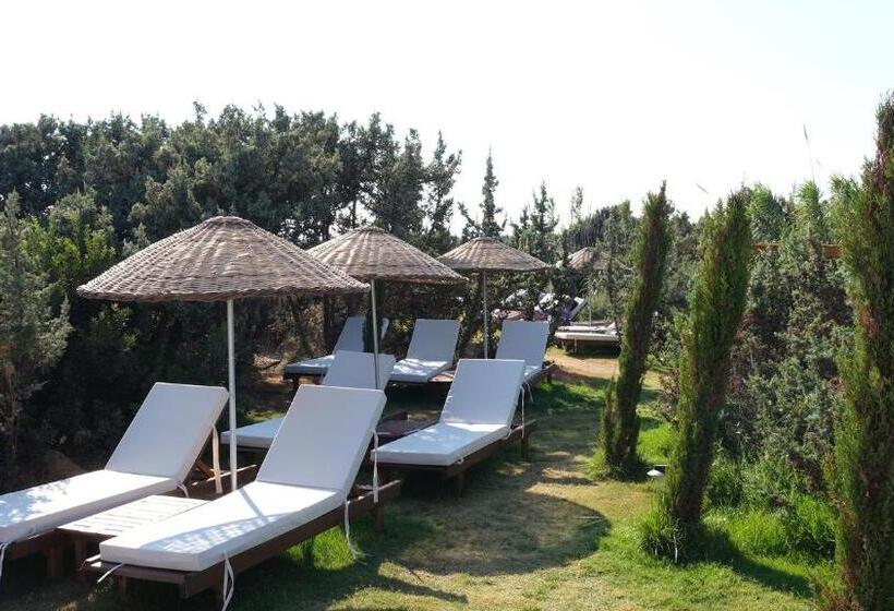 فيلا غرفتين نوم, Zaya çeşme Hotel & Beach