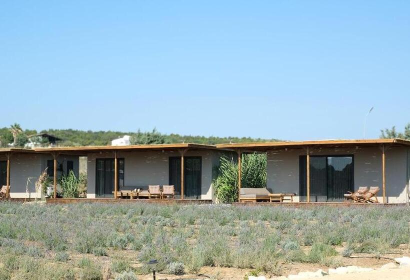 디럭스 룸, Zaya çeşme Hotel & Beach
