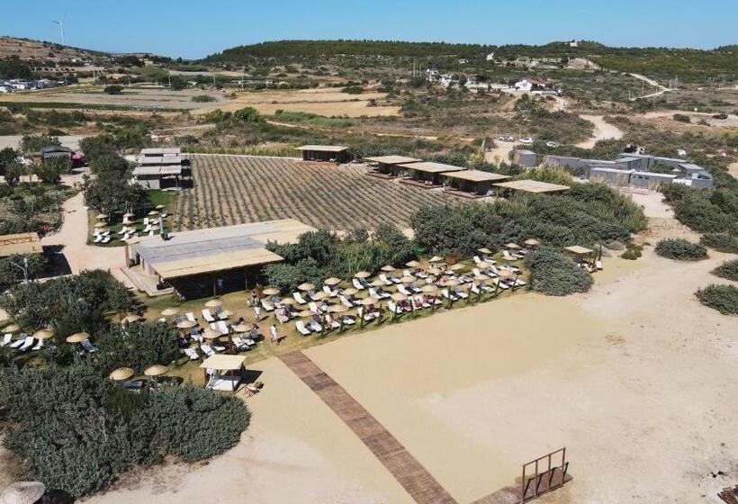 ‫فيلا غرفة نوم واحدة, Zaya çeşme Hotel & Beach