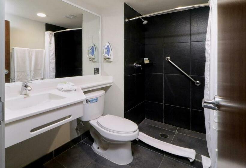 Номер Стандарт, City Express Plus By Marriott Monterrey Galerías