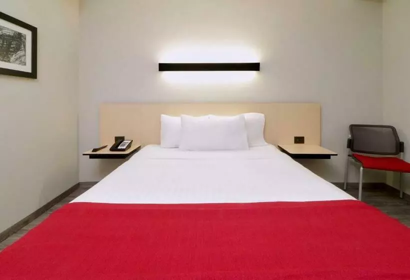 スタンダードルーム, City Express Plus By Marriott Monterrey Galerías