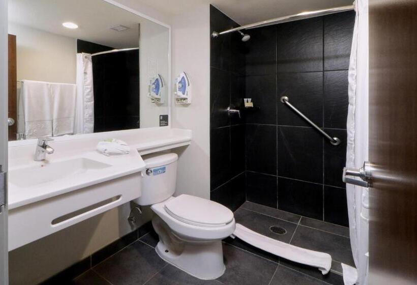 غرفه قياسيه سريرين مزدوجين, City Express Plus By Marriott Monterrey Galerías