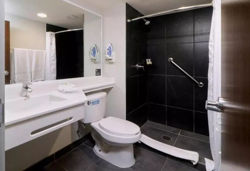 ２ダブルベッドのスタンダードルーム, City Express Plus By Marriott Monterrey Galerías