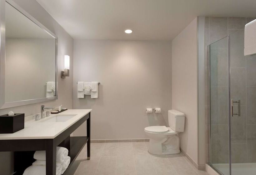 Люкс Адаптированный для Инвалидов, Embassy Suites By Hilton Kansas City Olathe