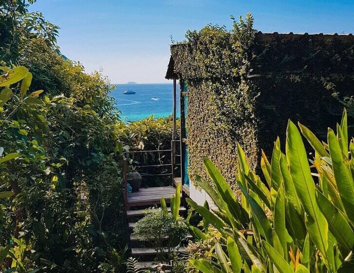 בקתה סופריור, Phi Phi Sea Sky Resort