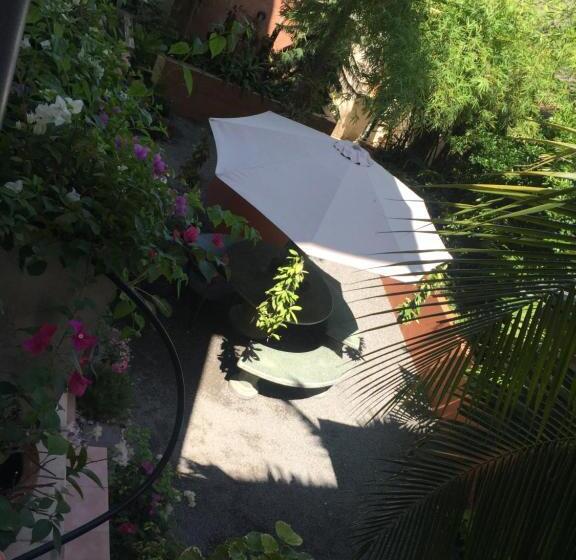 Superior Szoba, Sofia