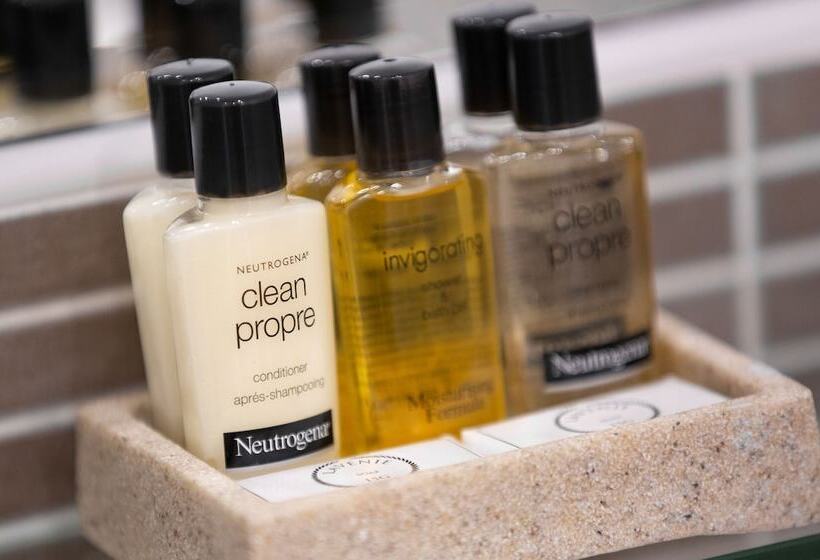 スイート, The Craster Arms Hotel In Beadnell