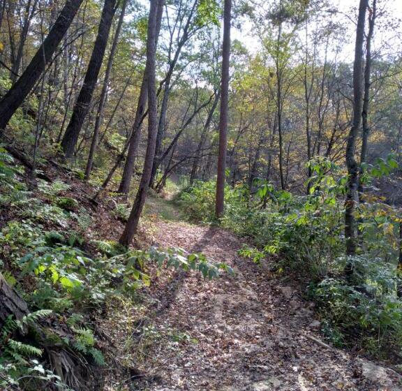 1ベッドルームハウス, Emerald Little Lodge