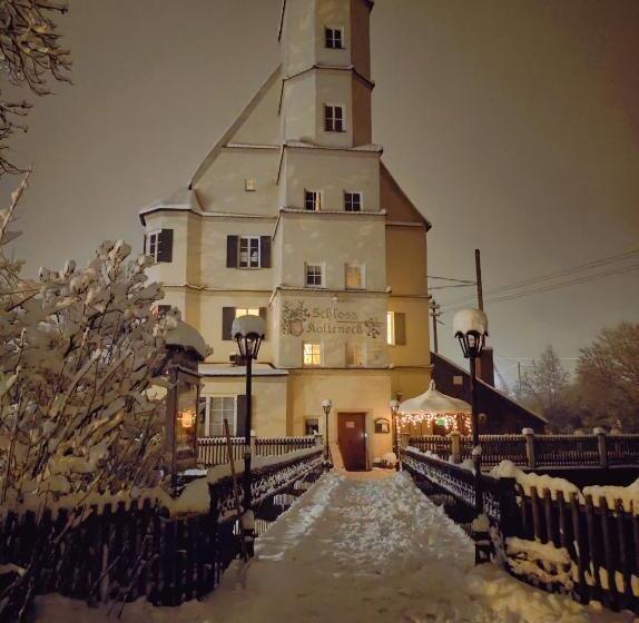 スタンダードシングルルーム, Schloss Kalteneck