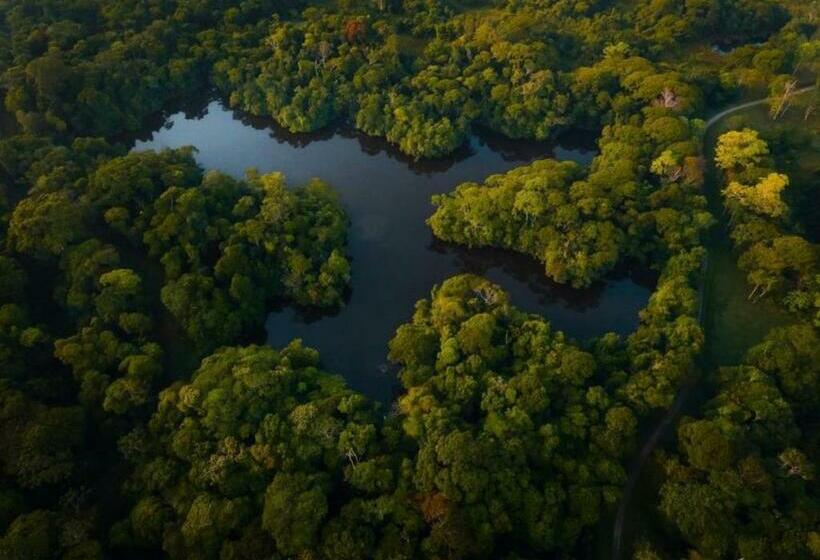 Номер Стандарт, El Zota