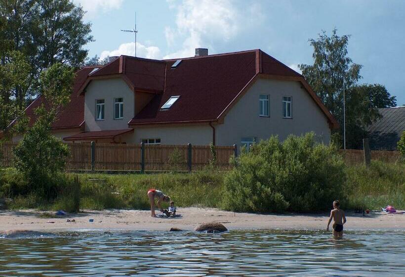 اتاق استاندارد چهار تخته, Viesu Nams Zivtiņi