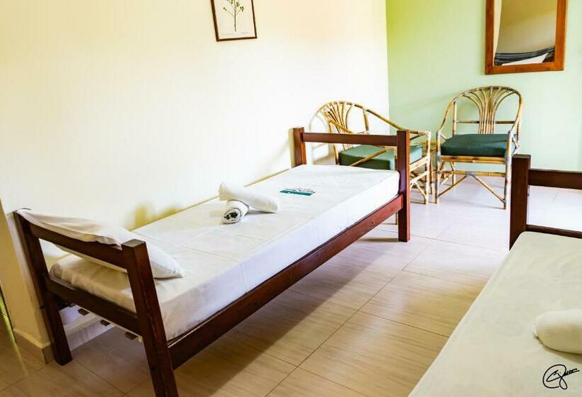 חדר משפחתי, Fazenda Brejo