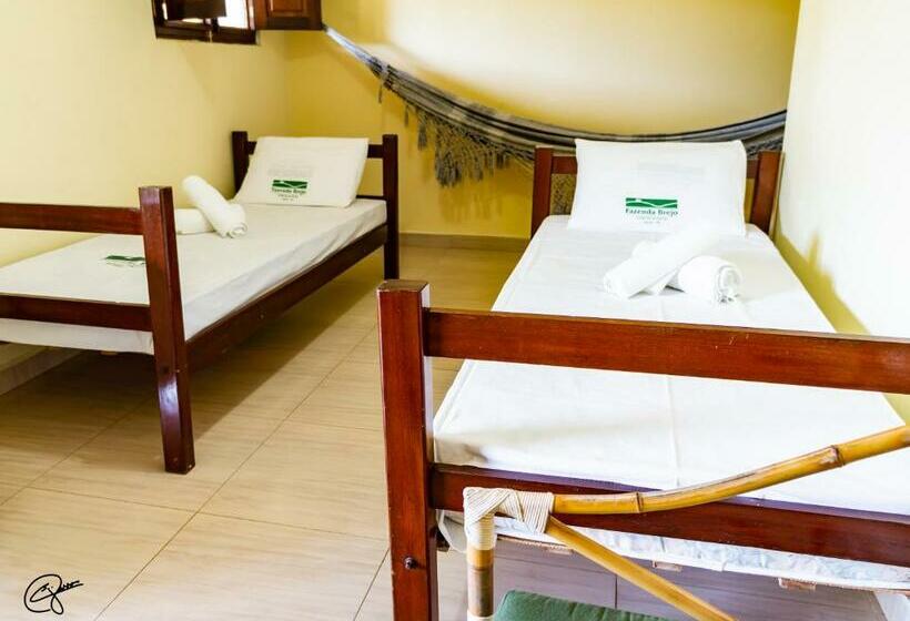 חדר משפחתי, Fazenda Brejo