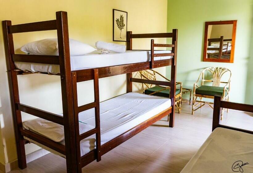 חדר משפחתי, Fazenda Brejo