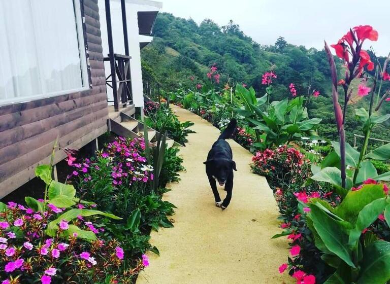 غرفة قياسية, Vistas Del Cielo