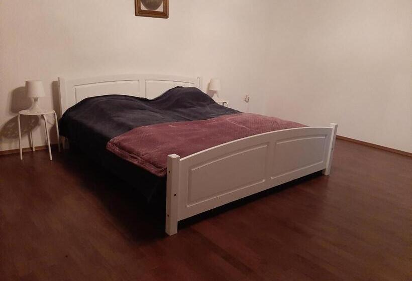 Апартаменты 1 Спальня с Террасой, Bodrogparti Vendégház Sárazsadány