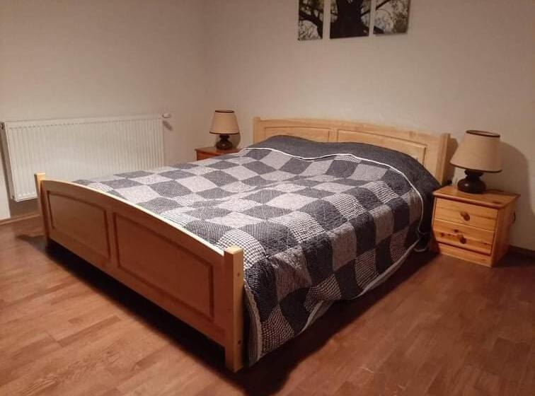 Апартаменты 1 Спальня с Террасой, Bodrogparti Vendégház Sárazsadány