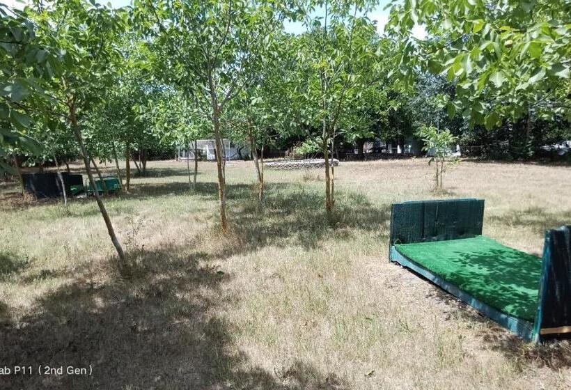 Четырехместный номер Премиум, Granichar 3 Surfa