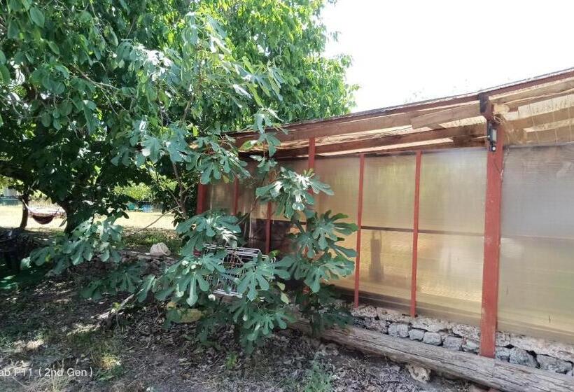 Четырехместный номер Премиум, Granichar 3 Surfa