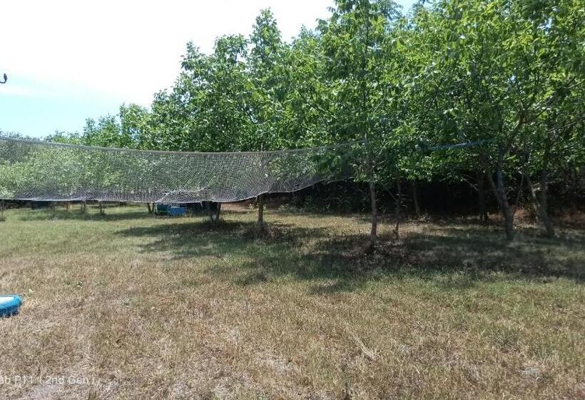 Четырехместный номер Премиум, Granichar 3 Surfa