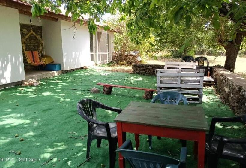 Четырехместный номер Премиум, Granichar 3 Surfa