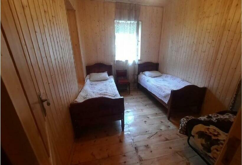 اتاق استاندارد با سرویس بهداشتی مشترک, Nino & Tarzan Guesthouse