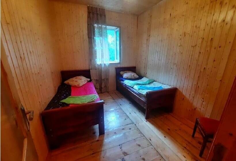 اتاق استاندارد با سرویس بهداشتی مشترک, Nino & Tarzan Guesthouse