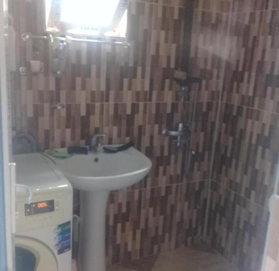 اتاق استاندارد چهارنفره با سرویس بهداشتی مشترک, Nino & Tarzan Guesthouse