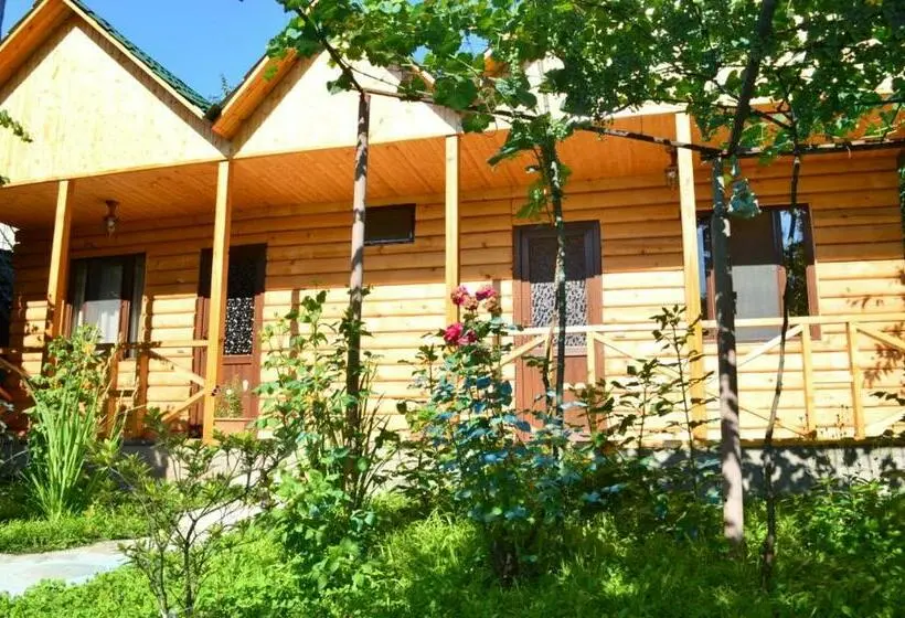 اتاق اکونومی, Shoda