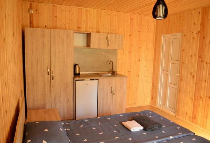 اتاق اکونومی, Shoda