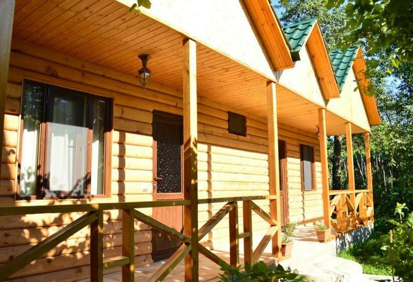 اتاق اکونومی, Shoda