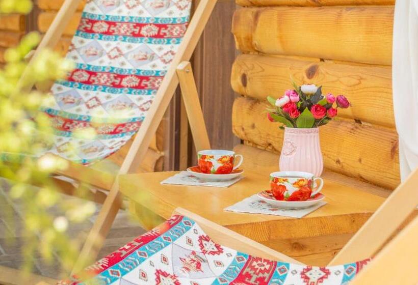 اتاق اکونومی, Shoda