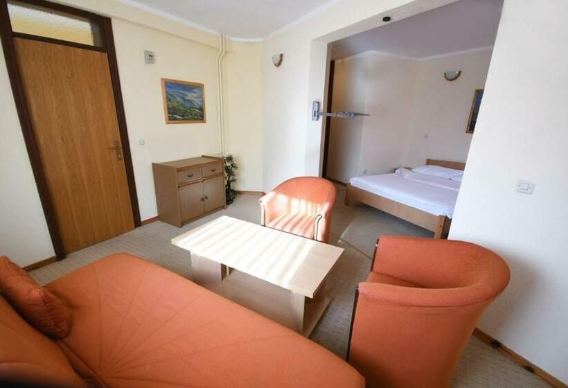 آپارتمان 1 خوابه با تراس, Mladost