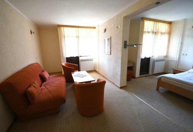 آپارتمان 1 خوابه با تراس, Mladost