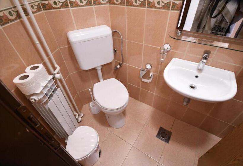 اتاق استاندارد, Mladost