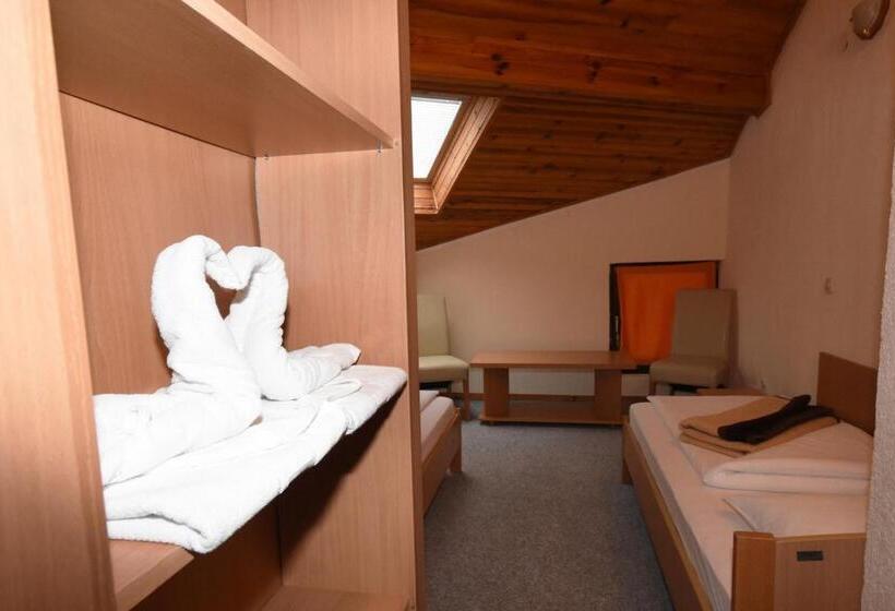 اتاق استاندارد, Mladost