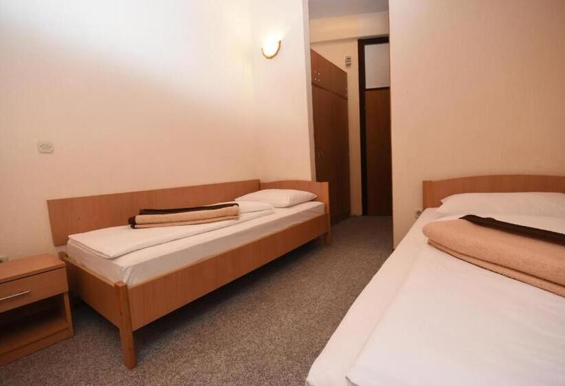 اتاق استاندارد, Mladost