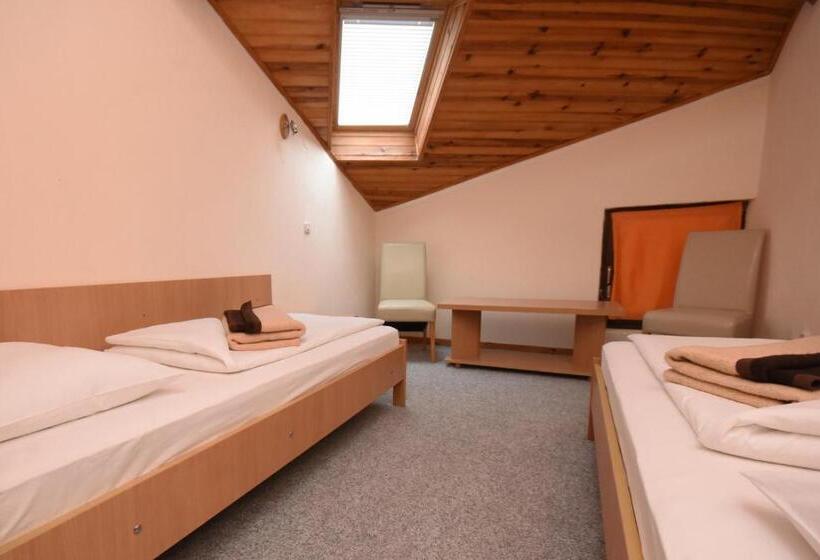 اتاق استاندارد, Mladost